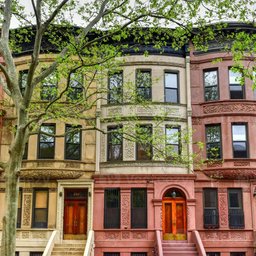 Harlem