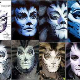 Cats