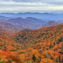 Great Smoky Mountains