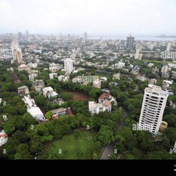 Dadar