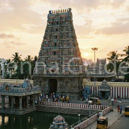 Mylapore temple walk