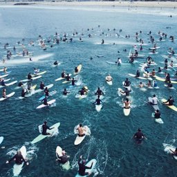 Surf culture