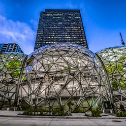 Amazon