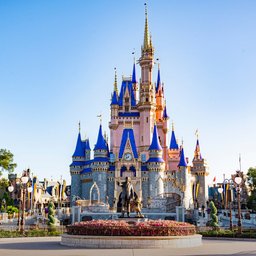 Disney World