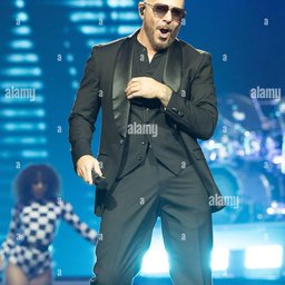 Pitbull