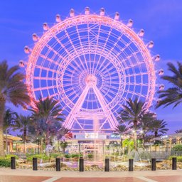Orlando