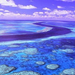 Great Barrier Reef