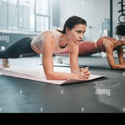 Planks