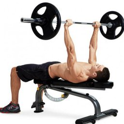 Bench Press