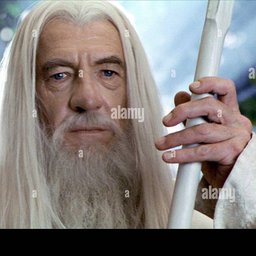Sir Ian McKellen