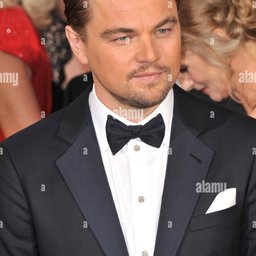 Leonardo DiCaprio