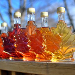 Maple syrup
