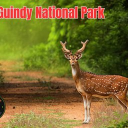 Guindy National Park