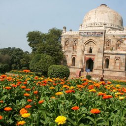 Lodhi Garden walk