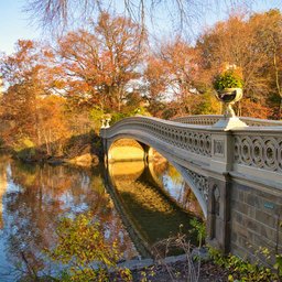 Central Park