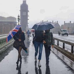 Rain