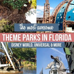 Theme parks