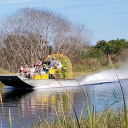 Airboat rides