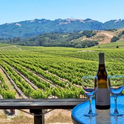 Sonoma Valley