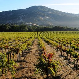 Mendocino County