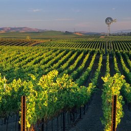 Napa Valley