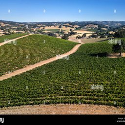 Paso Robles