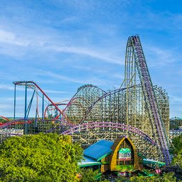 Busch Gardens Tampa Bay