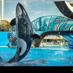 SeaWorld Orlando