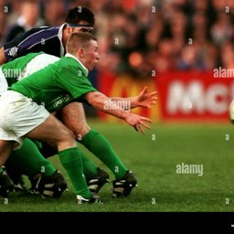 Peter Stringer