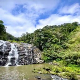Coorg