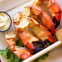 Stone crab