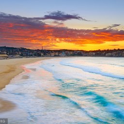 Bondi Beach