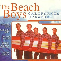The Beach Boys