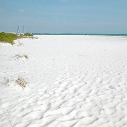 Siesta Key Beach