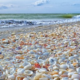 Sanibel Island