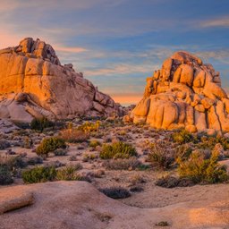 Joshua Tree National Park
