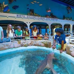 Key West Aquarium