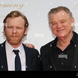 Brendan Gleeson