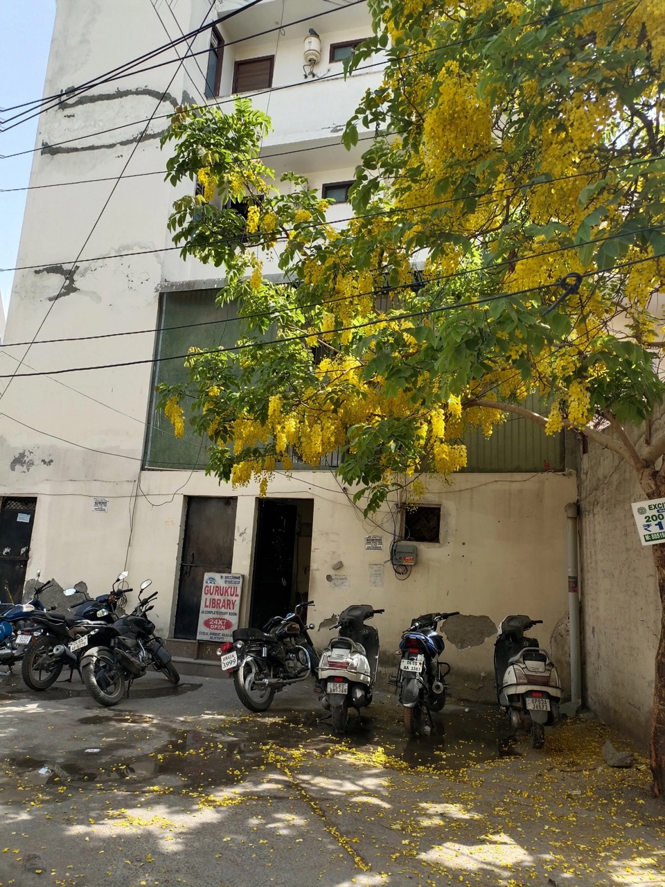 Gurukul Library 2