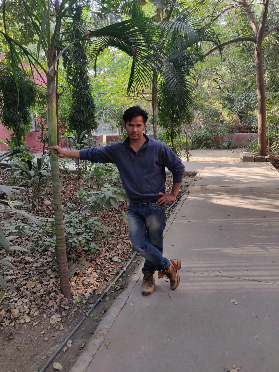 Gurukul Library 4