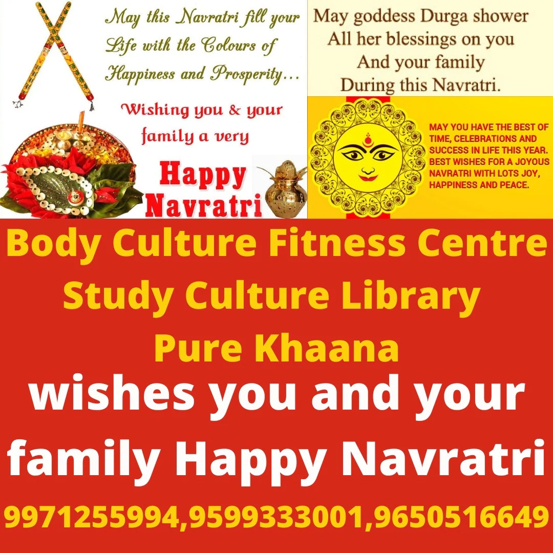 Study Culture Library 4