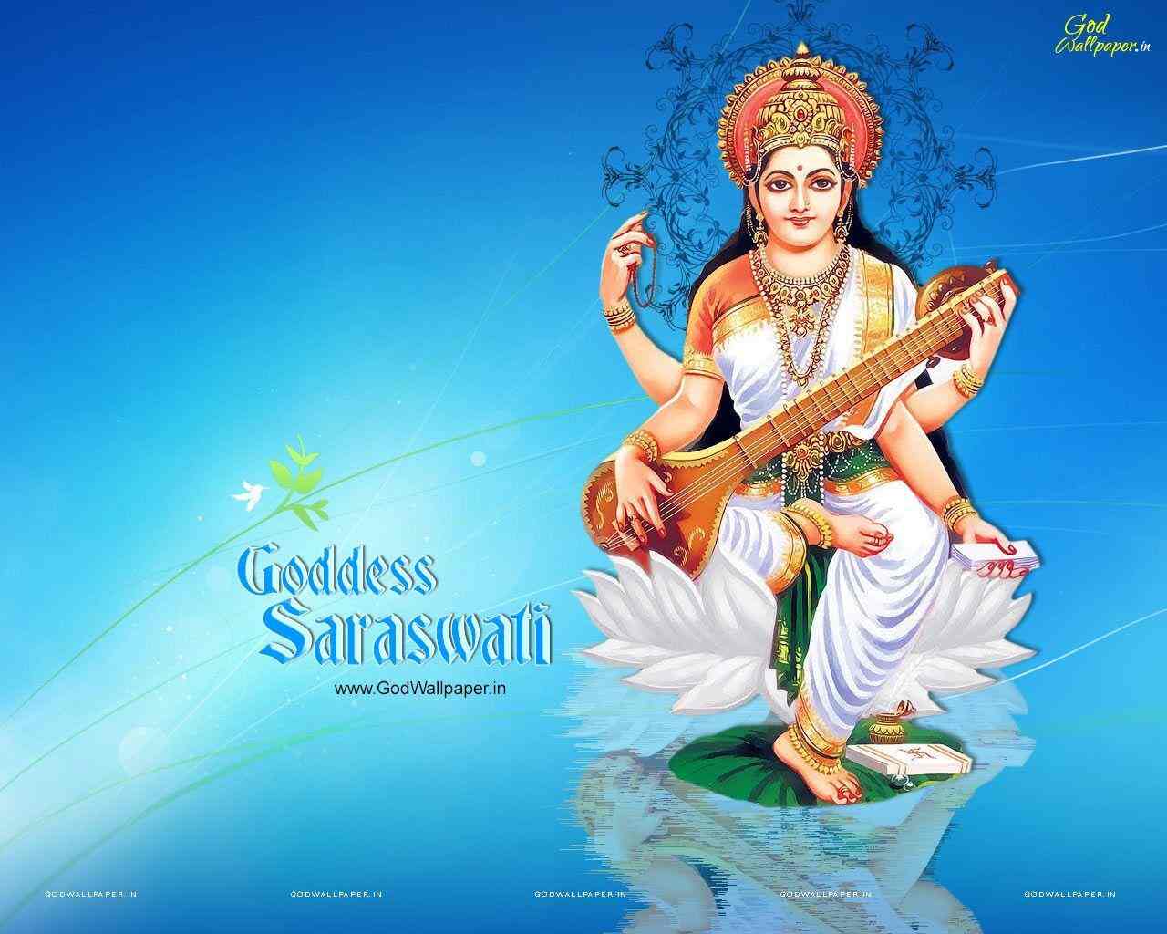 Maa Saraswati Maa Library 3