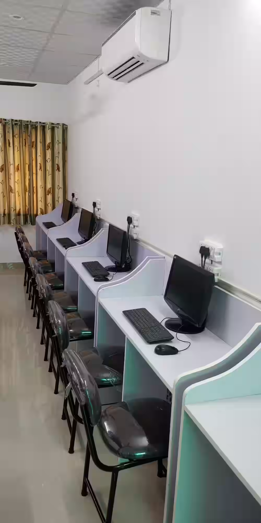 Scholar's House Library 1