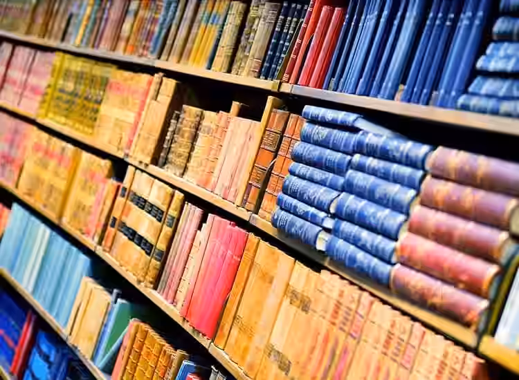 Krishna Library 1