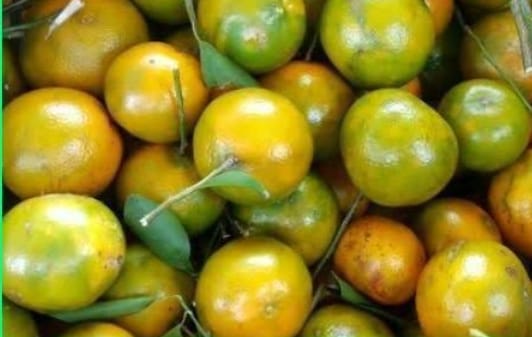 Blisayur