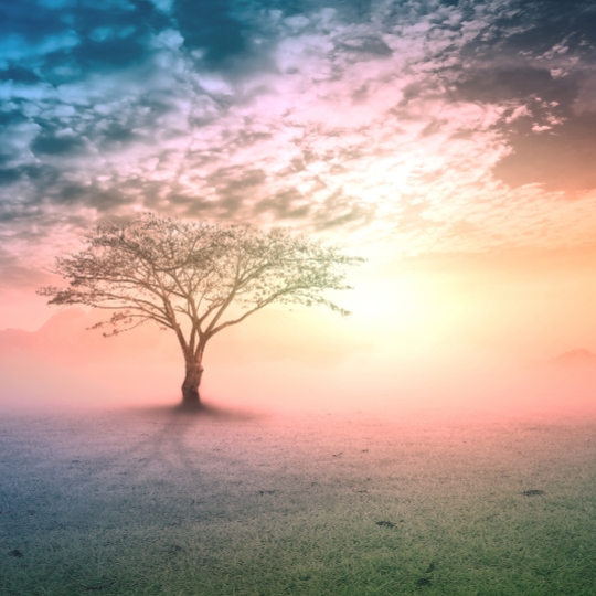 Energy Healing | Therapy