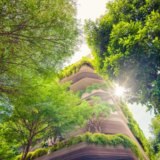 Sustainable Living | Permaculture