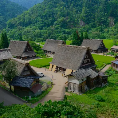 Ayurveda & Panchakarma Centers