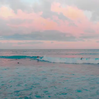 Beach & Surf Wellness