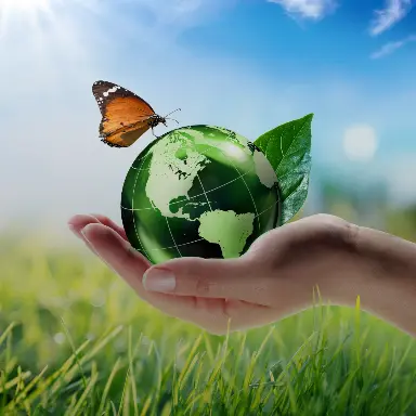 Sustainable & Eco Wellness Travel